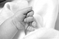 DSC03232 sw DSC03232 sw